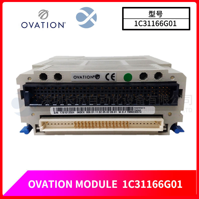 OVATION 1C31166G01 (3).jpg